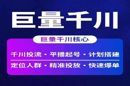百度竞价与搜索引擎优化（SEO）的协同效应案例